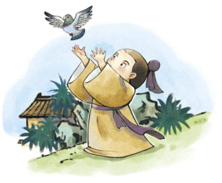 飞鸽传书：穿越千年的“空中信使”真相揭秘