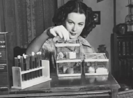 海蒂·拉玛:WiFi技术奠基者的传奇人生与科学遗产