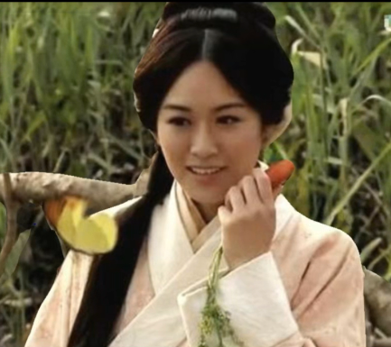 黄月英为何被称为“阿丑”:历史、传说与文化隐喻的交织