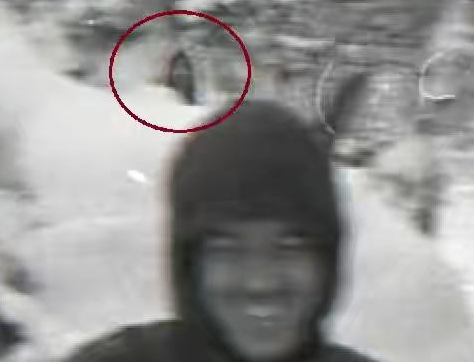 迪亚特洛夫事件唯一幸存者：尤里·尤金的生死抉择与未解谜团