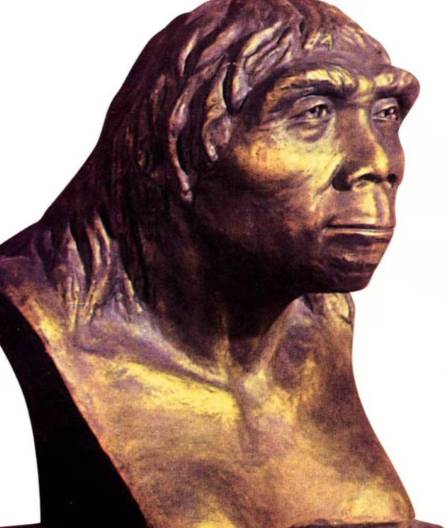 元谋人是中国人的祖先吗？——科学视角下的历史追问