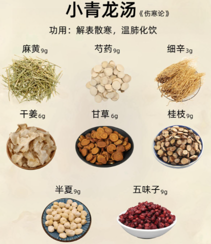 张仲景十大经典名方：千年医道的智慧结晶