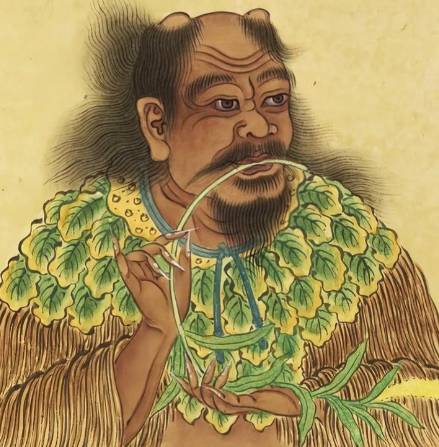 炎帝：上古农耕文明的拓荒者与华夏文明的奠基人