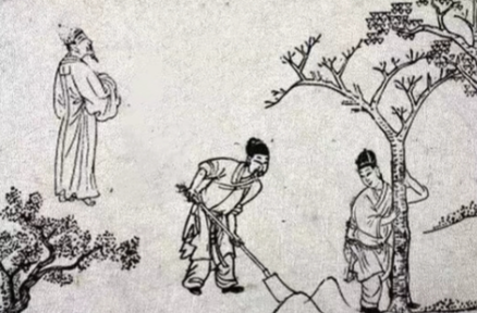 樊重树木：透视一位古代农商巨擘的远见与仁德