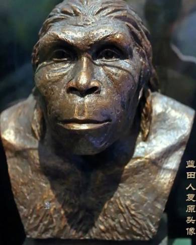 探秘远古:蓝田猿人与北京猿人的时间之辨