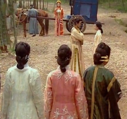 罗氏女：烽火巾帼的传奇终章