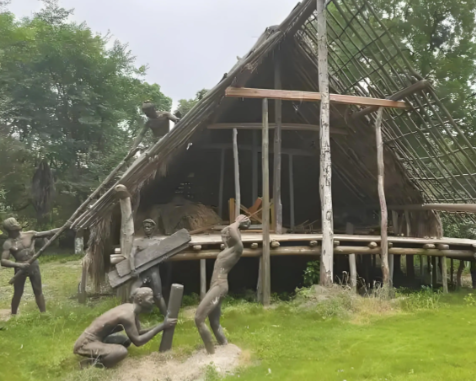 从野生稻谷到餐桌常客:古人实现米饭上桌的千年历程