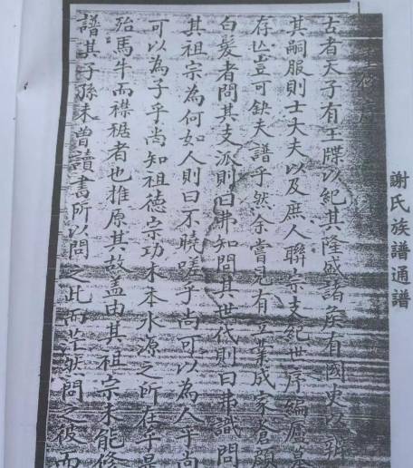 谢氏“陈留世家”称谓溯源：千年血脉与文化传承的交融