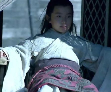 历史迷雾中的真相探寻之曹冲之死